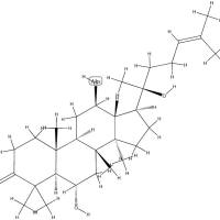 20(S)-原人参三醇 HPLC≥98%