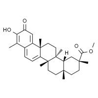 扁蒴藤素 HPLC≥98%