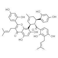 桑皮酮H HPLC≥98%