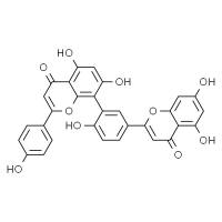 穗花杉双黄酮 HPLC≥98%