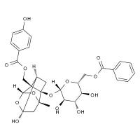 苯甲酰氧化芍药苷 HPLC≥94%