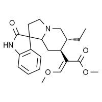钩藤碱 HPLC≥98%