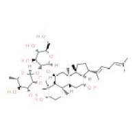人参皂苷F4 HPLC≥98%