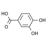原儿茶酸,分析标准品,HPLC≥98%