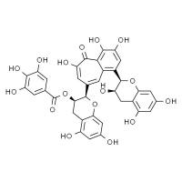 茶黄素-3-没食子酸酯 HPLC≥98%