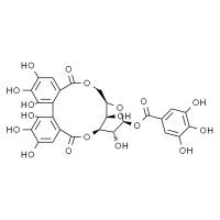 柯里拉京 HPLC≥98%