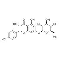 CAS号： 16290-07-6