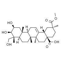 商陆皂苷元 HPLC≥98%
