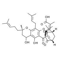 新藤黄酸 HPLC≥98%