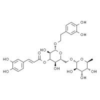 异连翘酯苷 HPLC≥98%