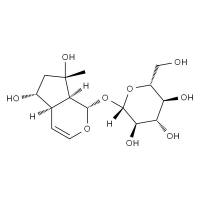 益母草苷 HPLC≥97%