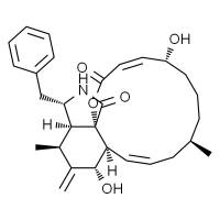 细胞松弛素B储存液(Cytochalasin B,1mg/ml)