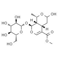 莫诺苷 HPLC≥98%