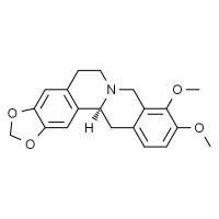四氢小檗碱 HPLC≥98%