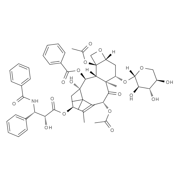 7-木糖基-紫杉醇 HPLC≥98%