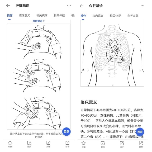 心脏叩诊位置及顺序图图片