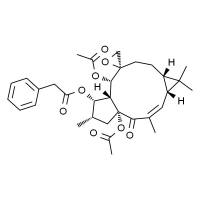 人参皂苷Rk1 HPLC≥98%
