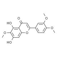 异泽兰黄素 HPLC≥98%