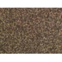 L2大鼠肺泡上皮细胞