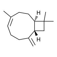 β-丁香烯（分析标准品）