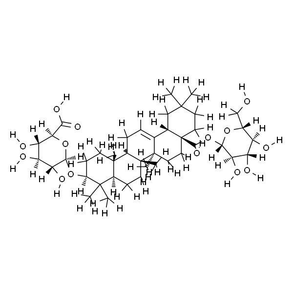 竹节参皂苷Ⅳa（分析标准品）