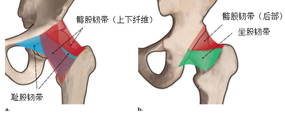 图片预览
