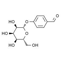 豆腐果苷 HPLC≥98%