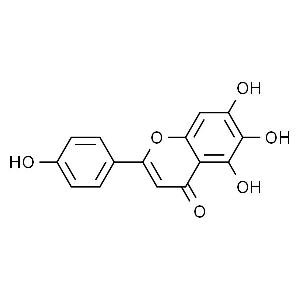 野黄芩素 HPLC≥98%