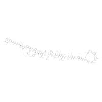 SalmonCalcitoninAcetate,化学对照品(1mg)