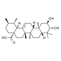 科罗索酸 HPLC≥98%