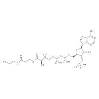 辅酶A,生物标准品(50mg)