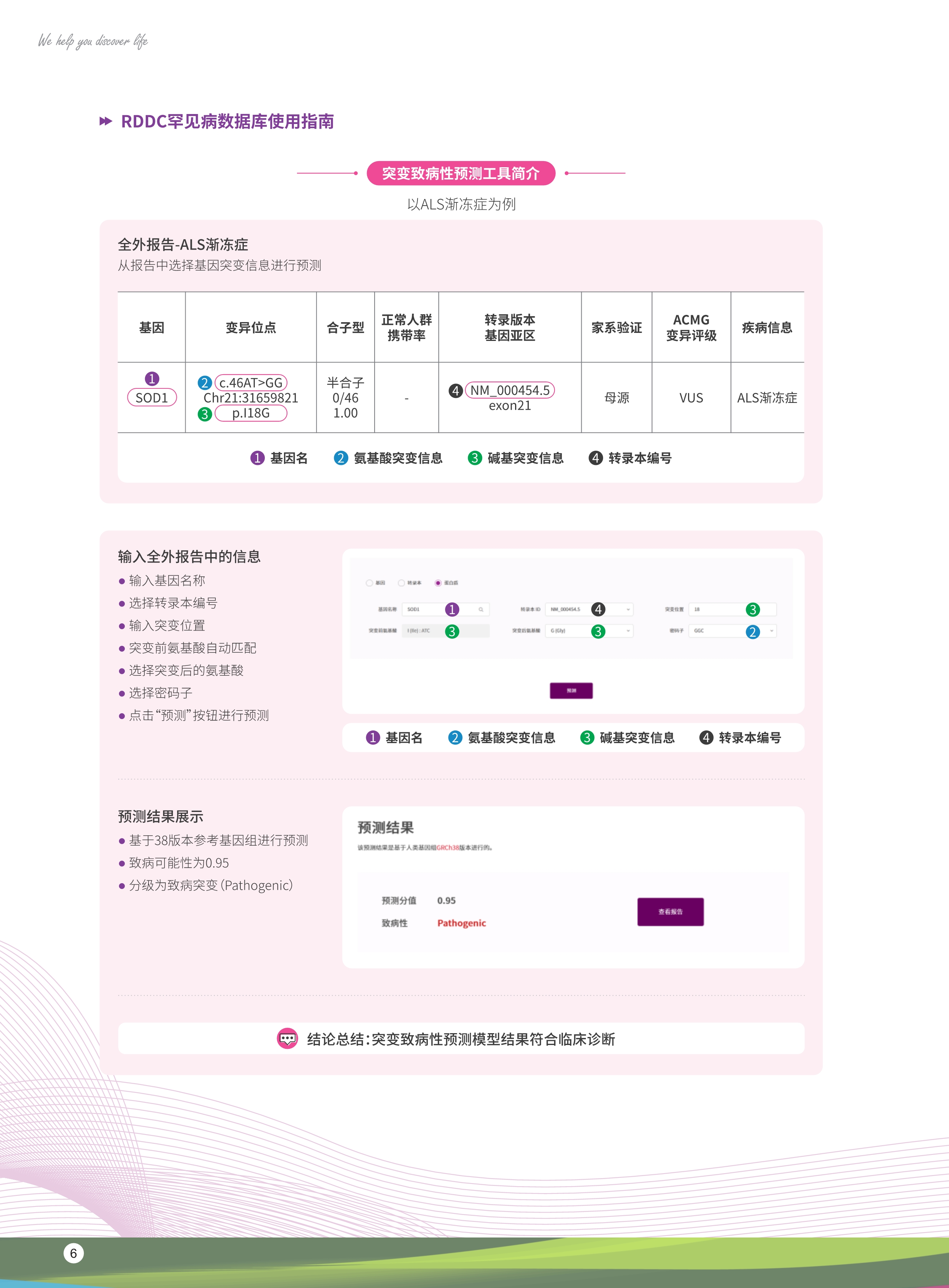 基因治疗完整解决方案