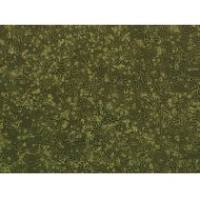 大鼠原代乳腺导管上皮细胞