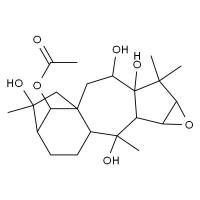闹羊花毒素V HPLC≥98%