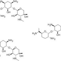 庆大霉素,生物标准品(200mg)