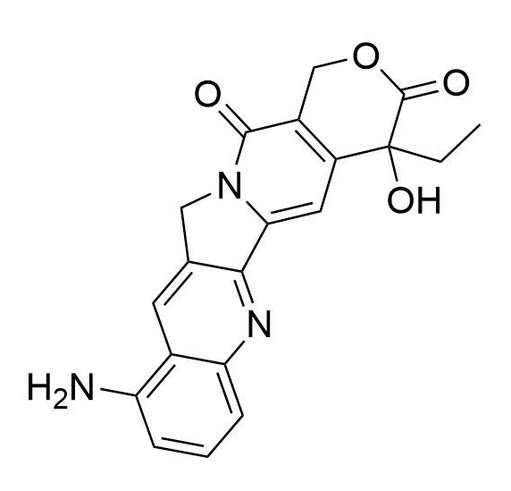 9-氨基喜树碱 91421-43-1