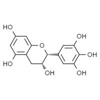 表没食子儿茶素 HPLC≥98%