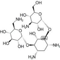 卡那霉素,生物标准品(100mg)
