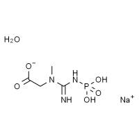 磷酸肌酸钠,化学对照品(100mg)