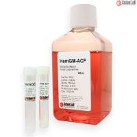 Sciencell 5521 HematoGro 培养基-无动物成分 现货特价