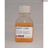 Sciencell 5881 小鼠胚胎成纤维细胞条件培养基 现货特价