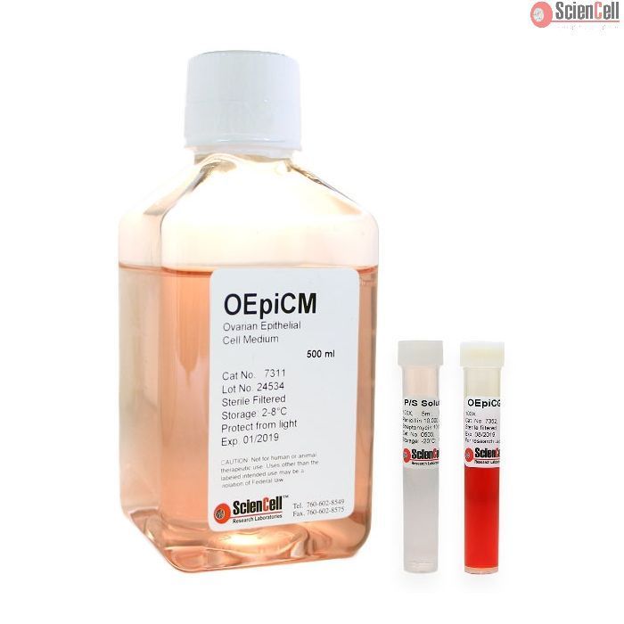 Sciencell 7311 卵巢上皮细胞培养基-serum free OEpiCM 现货特价