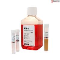 Sciencell 1831 星形胶质细胞培养基-动物成分 AM-a 现货特价