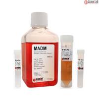 Sciencell 7541 间充质干细胞-脂肪细胞分化培养基 MADM 现货特价