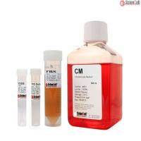 Sciencell 4651 软骨细胞培养基 CM 现货特价