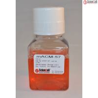 Sciencell 小鼠星形胶质细胞条件培养基 Mouse ACM-57 M1811-57现货特价