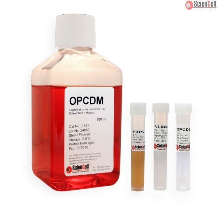 Sciencell少突胶质前体细胞分化培养基OPCDM 1631现货特价