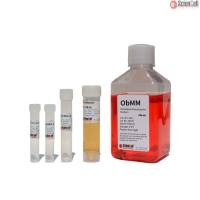 Sciencell 4611 成骨细胞矿化培养基ObMM 现货特价