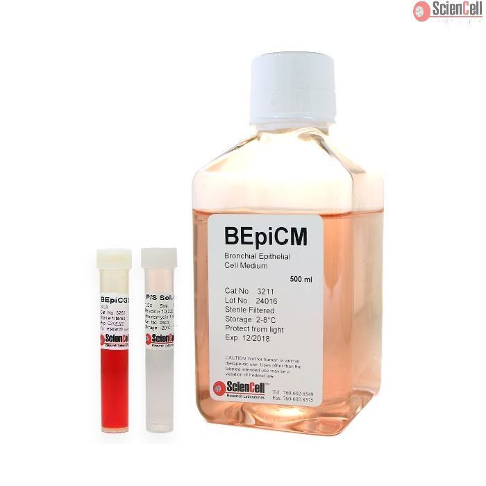 Sciencell 3211 支气管上皮细胞培养基-serum free BEpiCM 现货特价