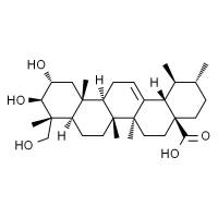 积雪草酸 HPLC≥98%